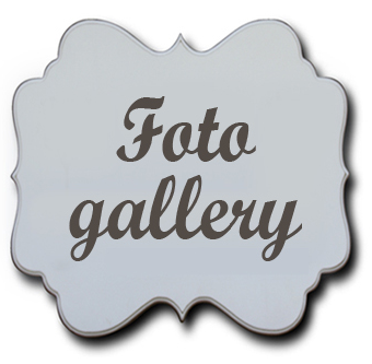 foto gallery asilo nido limbiate copia