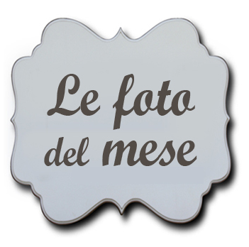 foto mese asilo grappolo copia